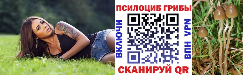 Галлюциногенные грибы прущие грибы  что такое наркотик  Гурьевск 